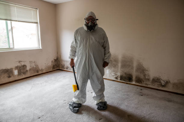Best Crawl Space Mold Removal  in Coord, NC